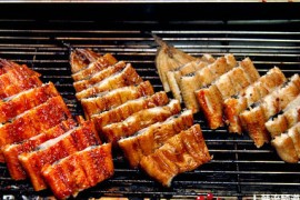 韩式烧烤鳗鱼