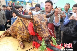 新疆烧烤大师烤出250公斤全牦牛(图)